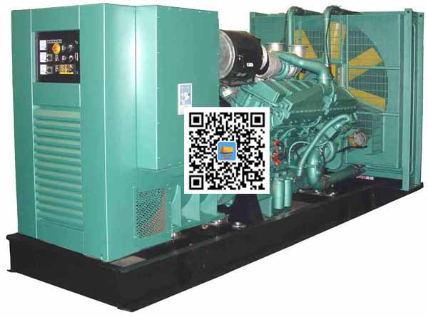 绥棱笼型异步发电机的电力电子控制技术